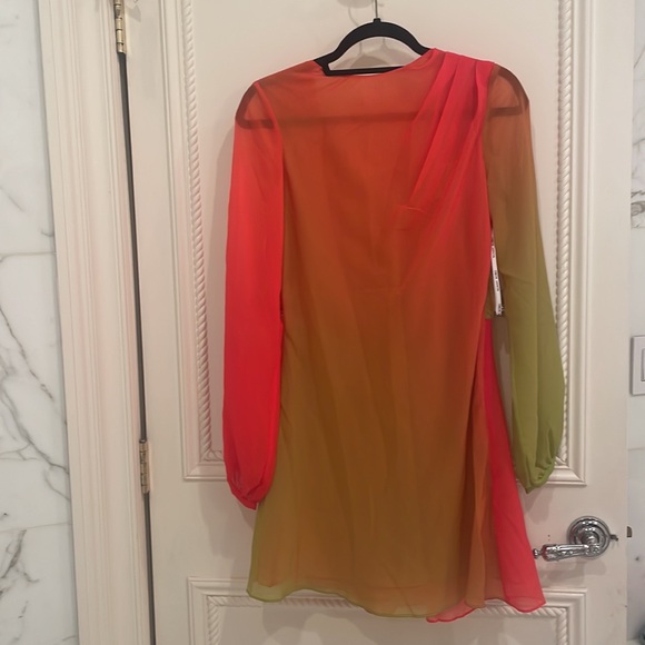 Ronny Kobo Dress - Picture 9 of 11